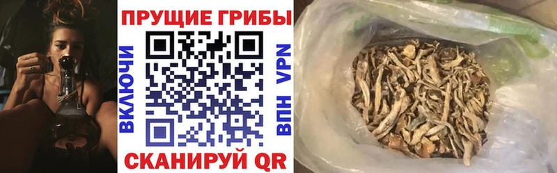 кракен зеркало  площадка формула  Кувандык  Псилоцибиновые грибы Psilocybine cubensis  наркотики 